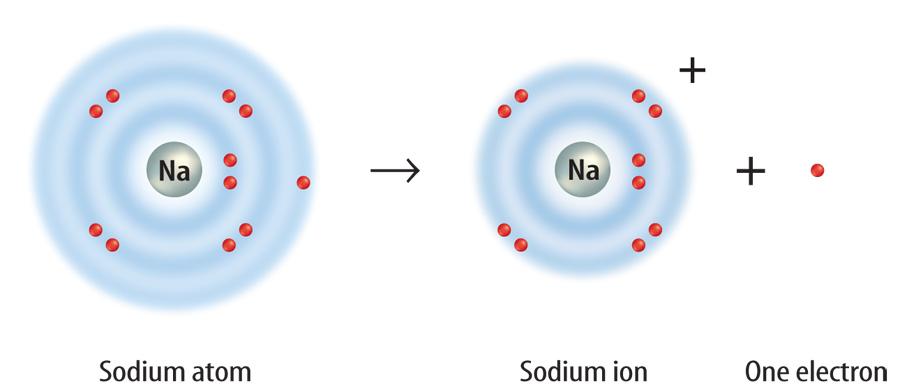 Positive Ions Losing Electrons 4.