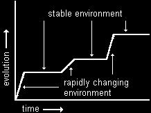 Types of Evolution: Punctuated Equilibrium vs