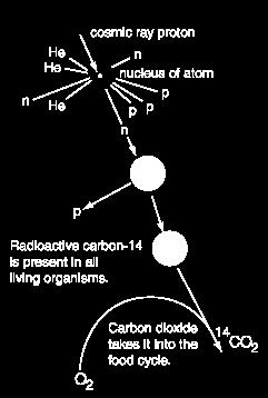 Principles of Radiometric Dating http://facstaff.gpc.edu/~pgore/geology/geo102/radio.htm Naturally occurring radioactive materials break down into other materials at known rates.