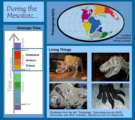 The Mesozoic Era Began approximately 245 Three periods: Triassic Period lasted 37 Jurassic Period lasted 62 Cretaceous Period lasted 81 Extinction of dinosaurs 65 www.windows.ucar.