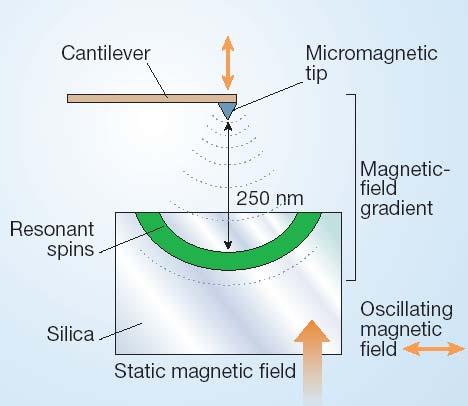 Outlook magnetic resonance force microscopy Single electron spins already detected.