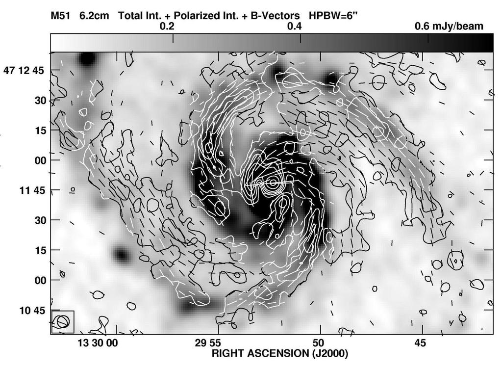 M 51 6cm VLA+Effelsberg Total intensity + B-vectors (Fletcher et al.