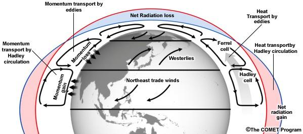 Role of the Hadley circulation in the General Circulation Recall that net TOA heating occurs in the tropics; thus, the tropics is a driver of the general circulation The Hadley