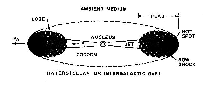 Caption: Schematic diagram of strong double radio source, illustrating the nomenclature of parts. 3.