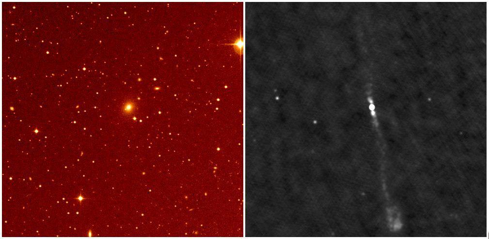 5. OUR SOURCE GALAXY 5.1 Elliptical Galaxy CGCG 049-033:- Our source CGCG 049-033 is an elliptical galaxy in Abell cluster known as A-2040.