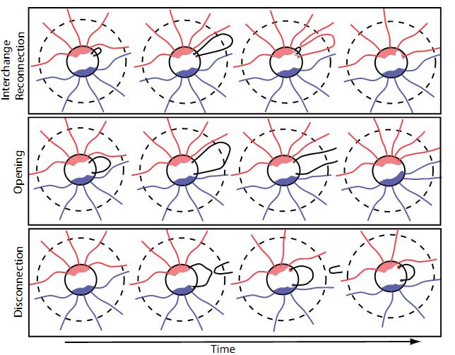 Magnetic Flux Balance in the Heliosphere Schwadron et al.