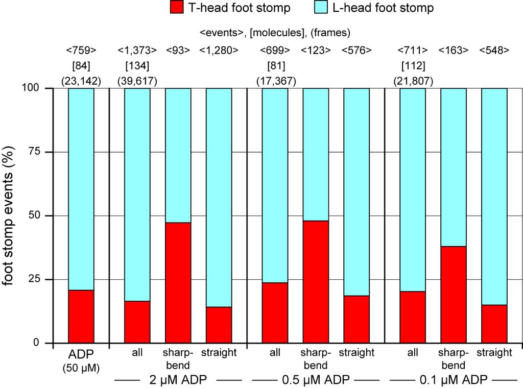 Supplementary Figure 5 Proportion of foot stomp events that occur at L- and T-heads in various [ADP].