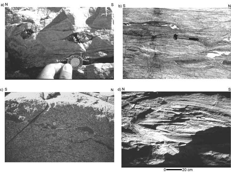 ANDRONICOS ET AL.: EXTENSION IN THE COAST PLUTONIC COMPLEX 7-5 Figure 3. Photographs of outcrop-scale structures. (a) Asymmetric clast indicating north directed shearing from east side of Figure 2.