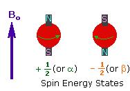 Nuclear Magnetic Resonance (NMR) Protons and neutrons have a magnetic moment like little compass