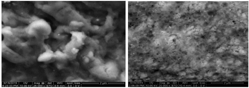 Fig 3: FESEM images of synthesized silver nanoparticles Fig 2: UV-Vis spectroscopic