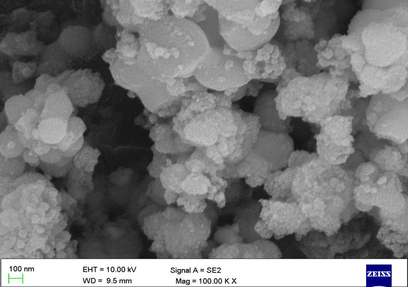 Fig.5 XRD spectra of silver nanoparticles synthesized from Talinum fruiticosum SEM & TEM SEM image show a uniform dispersed silver nanoparticles and TEM