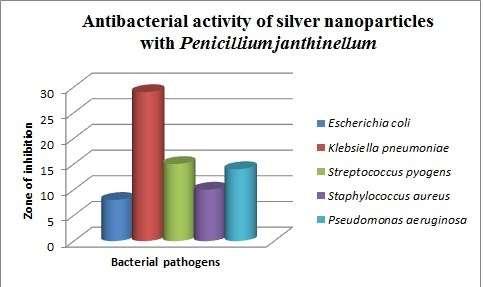 nanoparticles with Penicillium janthinellum TABLE: 1 Zone of inhibition AgNO3 produced by the endophytic fungi against pathogenic bacteria Name of the organism A.