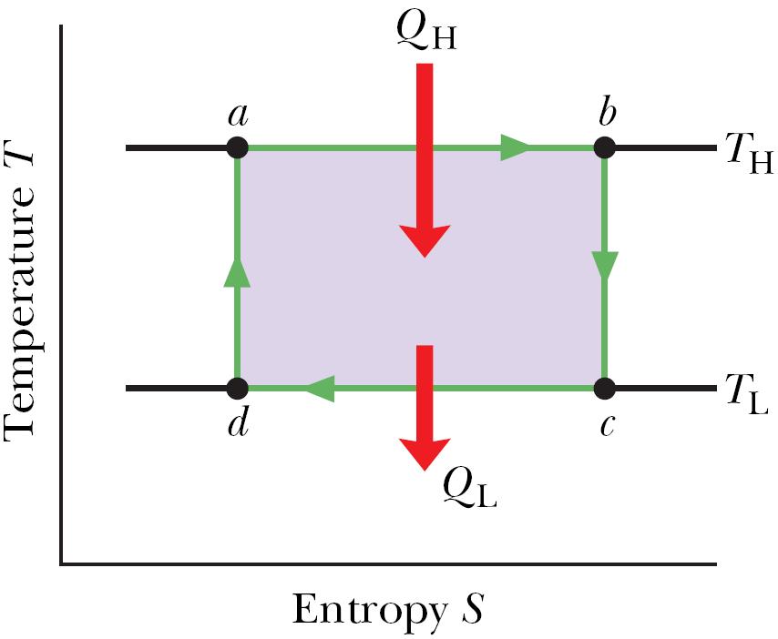 The Work if X represents any state property of the working substance, such as p, T, V, Eint, or S, we must have X = 0 for every cycle, thus Δ E int = 0 W = Q H Q L Entropy Changes The net entropy