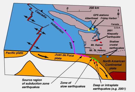 In subduction zones: transition from earthquakes to aseismic slip Various explanations -fluids - phase transitions -P&T increase -