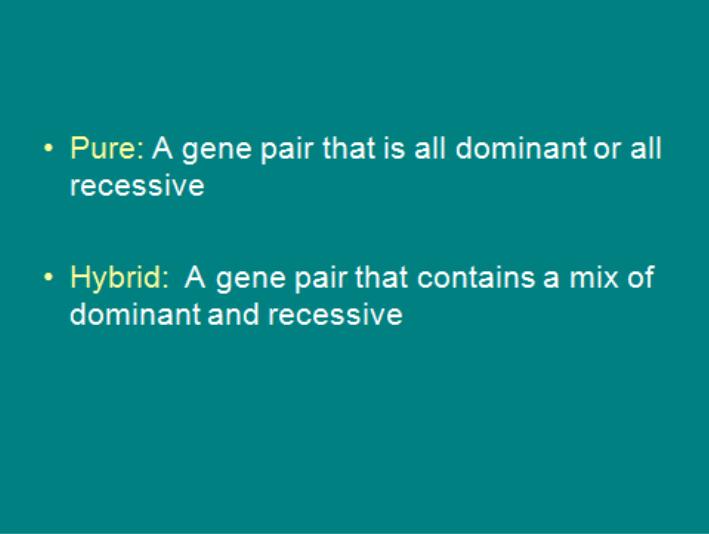 Mendel's conclusions from F1 and F2 pods: (1) "heritable factor" (Mendel didn't know about genes) for yellow pods was not lost in F1, rather, the "heritable factor" for yellow pods was "masked" by