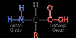 SOCl 2 reflux LiAlH 4 Ketone Oxidation