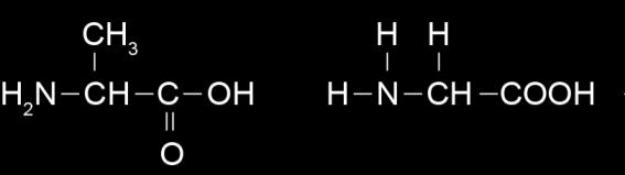 Amino acid 2 polyamide Dipeptide (don t need to name) 1 2 acid hydrolysis base