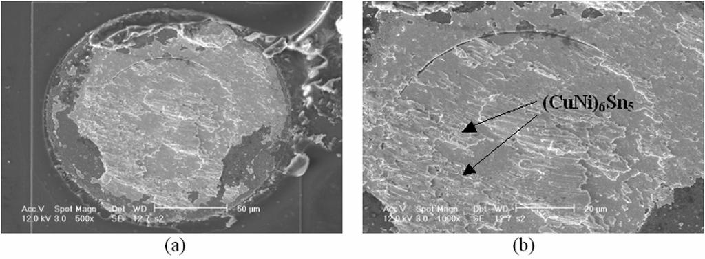 Hung, Department of MEEM, for the infrared mapping test. Fig. 7. (a) Typical fractograph of the solder joint on the chip side (as-reflowed), (b) local magnified micrograph. REFERENCES [1] S.