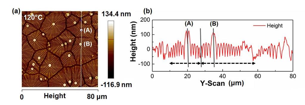 Supplementary Figure 13 Topographical AFM image with cross-sectional line profile.