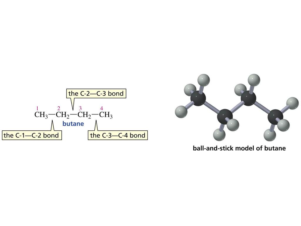 onformations of Butane Butane has three carbon carbon single bonds, and the molecule can rotate about each of them.
