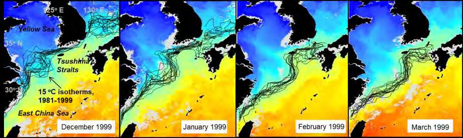 Space-time variability in SSTs Winter 1981-1999 MPD15s in the ECS Sea surface temperature ( o C)
