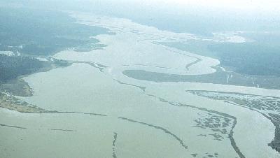 A floodplain is the flat land immediately surrounding