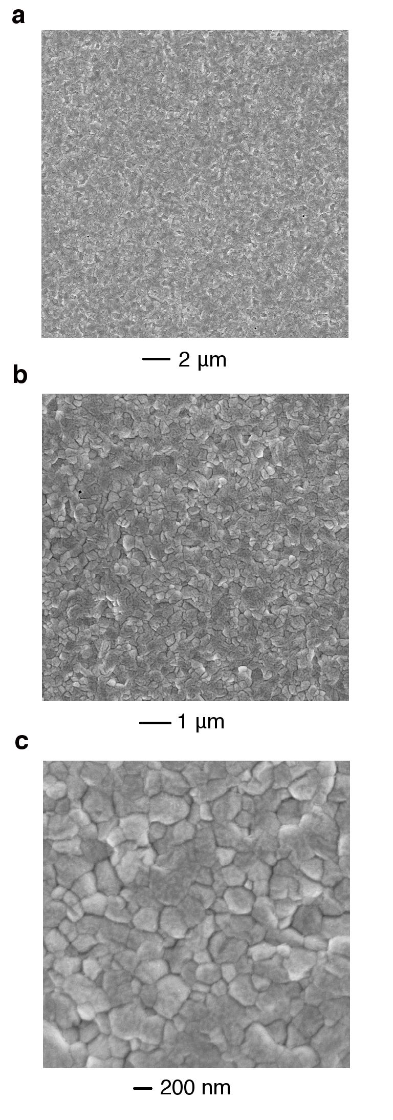 Supplementary Figure 2. SEM images of CH3NH3PbI3 after solvent annealing.