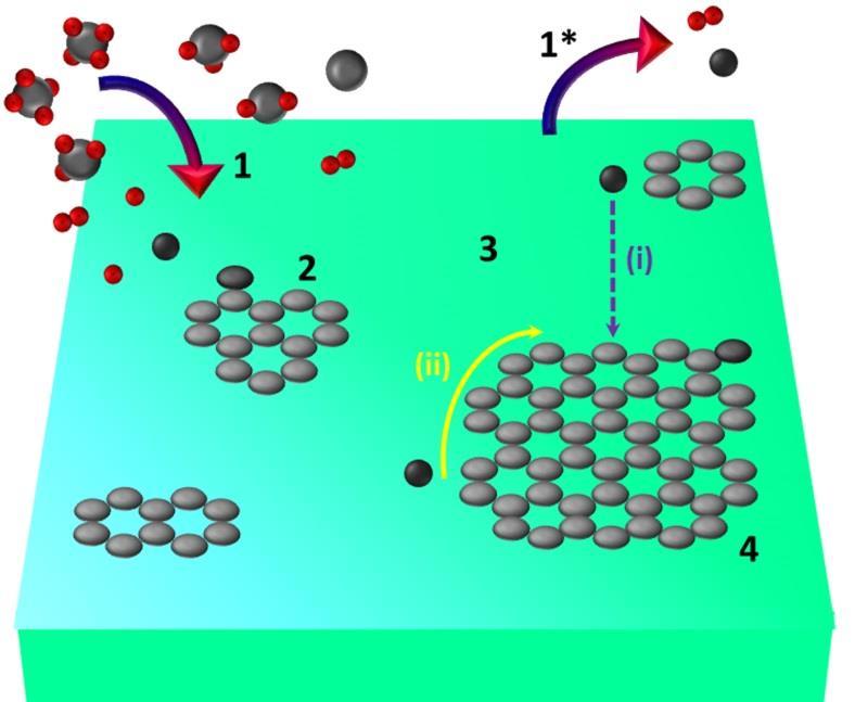 Figure S5. Schematic of graphene growth on solid glass substrate by catalyst-free APCVD route.
