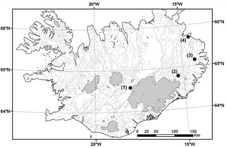 Figure 1. The location of the four boreholes: (1) Hágöngur, (2) Snæfell, (3) Gagnhei*i, and (4) Vopnafjör*ur mountain plateau.