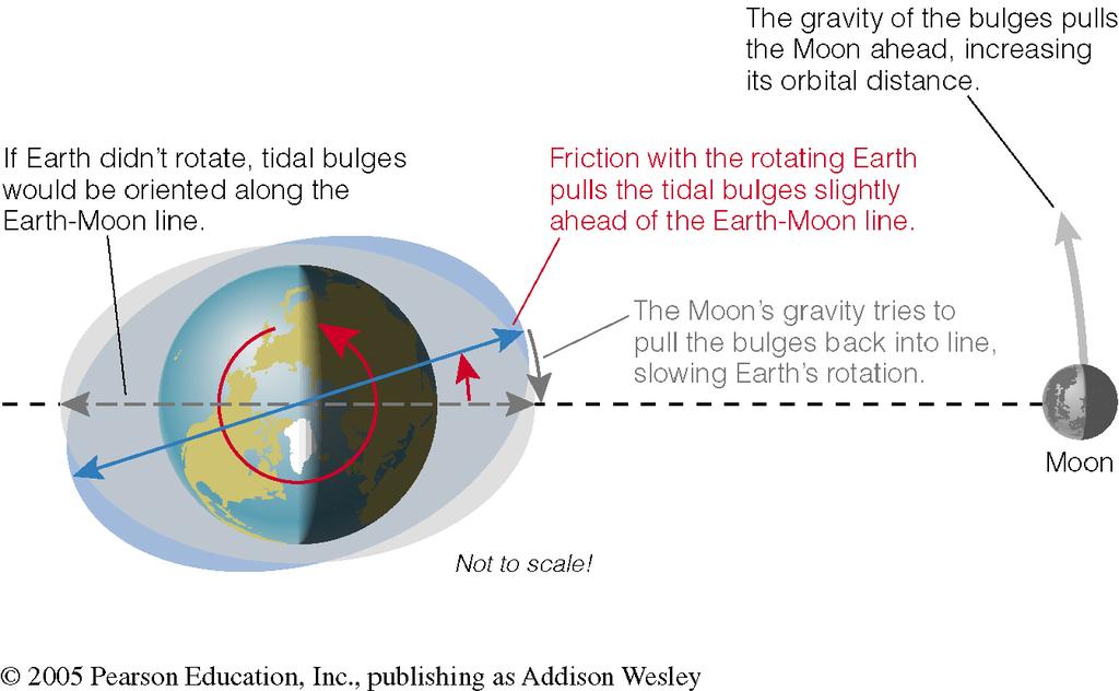 Tidal friction Tidal friction gradually slows Earth rotation (and makes Moon get farther from Earth).