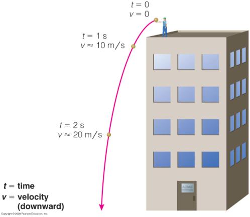 # s Velocity: Speed and direction Example: 10 m/s, due east Acceleration: Any change in velocity; units of speed/time (m/s 2 ) % ' & All