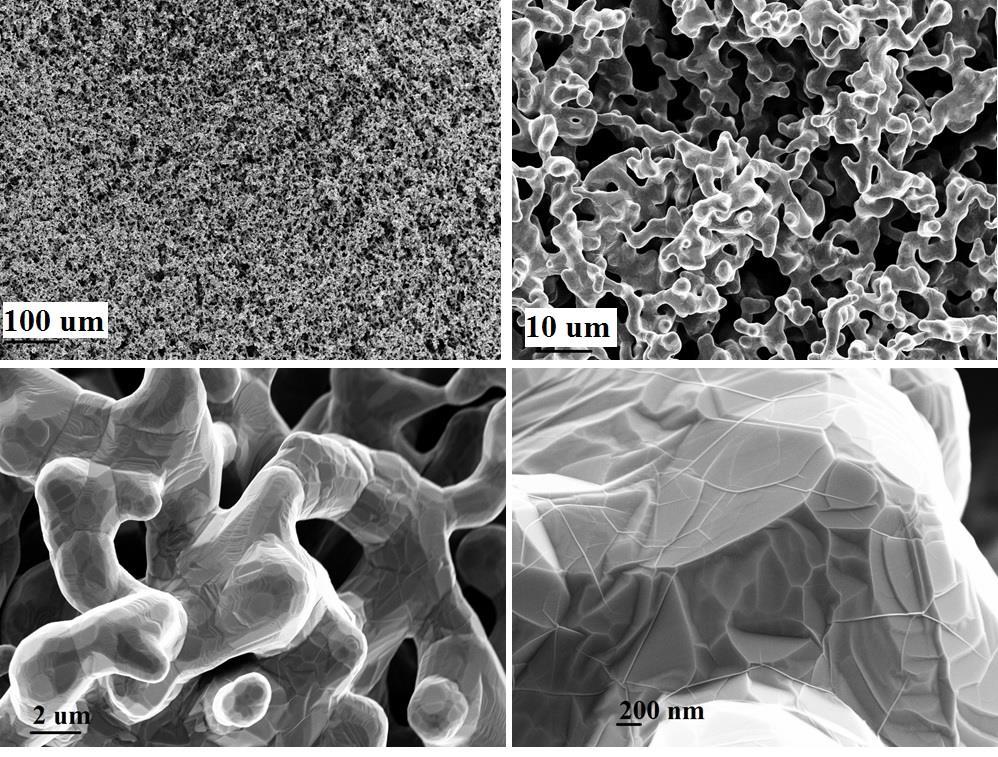 a b c d Supplementary Fig. 1. SEM images of graphene film on Ni catalyst particles.