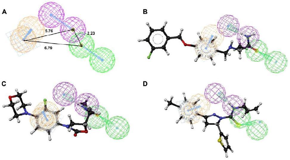 63 Figure 2.6: Pharmacophore model for MA-B inhibitors. (A) Three-dimensional arrangement of pharmacophore features in the quantitative pharmacophore model (ypo2).
