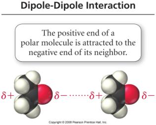 Dipole-Dipole Attractions Polar molecules have a permanent dipole because of bond polarity and shape dipole moment The permanent dipole adds to the attractive