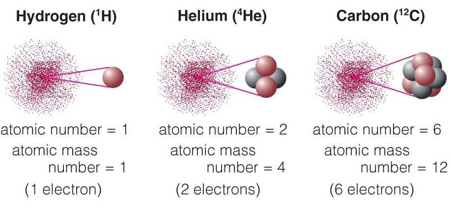 Atomic terminology Atomic Number = # of protons in nucleus Atomic Mass Number = # of protons