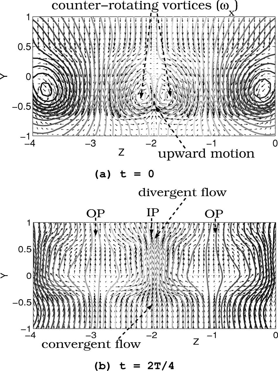 Phys. Fluids, Vol. 16, No. 8, August 2004 Experimental and numerical investigation of the vortex 3113 FIG. 15. Calculated velocity fields and streamlines at intersection x 1 for Re 85 and Ri 1.0. IP and OP indicate the in-plume and the out-ofplume positions, respectively.