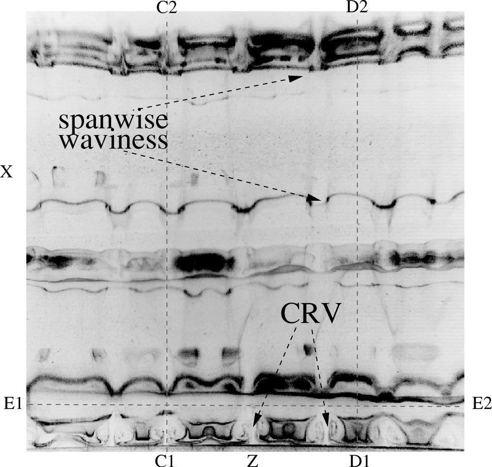 Ref. 14. spanwise waviness is observed both in the vortices and the braids. Likewise, the spanwise positions of the CRV determine the positions at which the thermal plumes escape in the far wake.