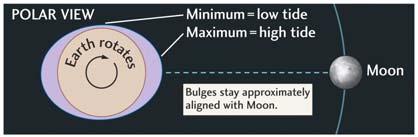 Ocean tides are the result of the gravitational attraction of the moon and sun on the ocean. The tides formed by the moon are the lunar tides, and those formed by the sun are the solar tides. Fig. 20.