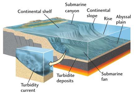 Continental Shelf A broad, flat platform extending from the shoreline to the beginning of the continental slope. Usually less than 200 m deep, it may extend 100 s km offshore.