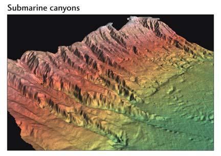 Submarine Canyons Continental Slope Continental Rise Fig. 20.