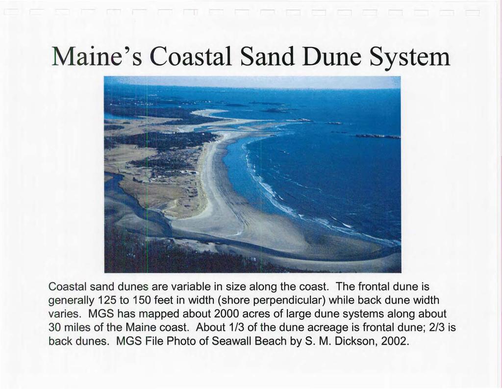 Maine's Coastal Sand Dune System Coastal sand dunes are variable in size along the coast. The frontal dune is generally 125 to 150 feet in width (shore perpendicular) while back dune width varies.