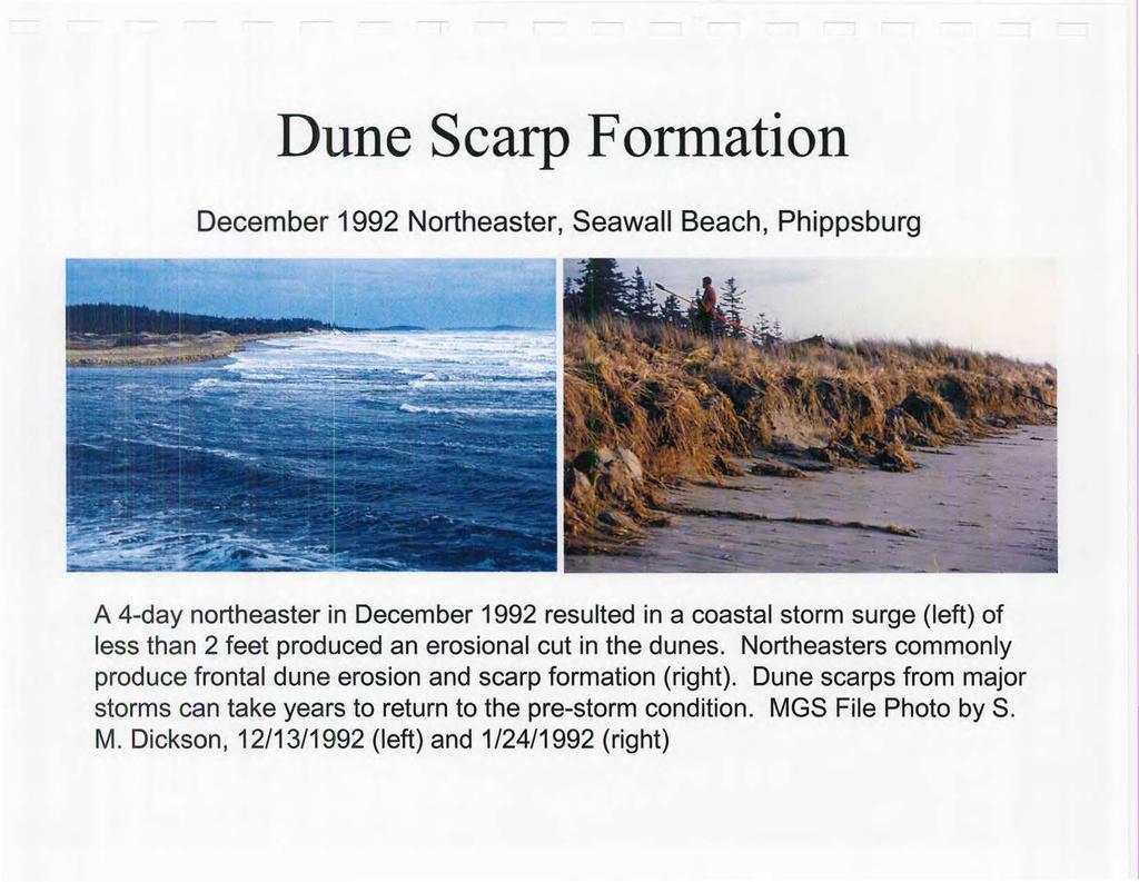 Dune Scarp Formation December 1992 Northeaster, Seawall Beach, Phippsburg A 4-day northeaster in December 1992 resulted in a coastal storm surge (left) of less than 2 feet produced an erosional cut