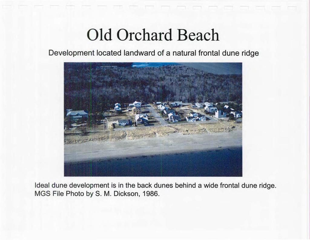 Old Orchard Beach Development located landward of a natural frontal dune ridge Ideal dune