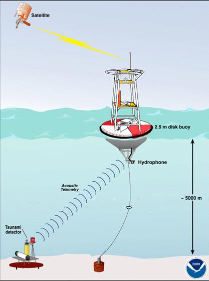 The tsunami signal is detected by a pressure sensor on the ocean floor. That signal is relayed by acoustic telemetry to the bouy.