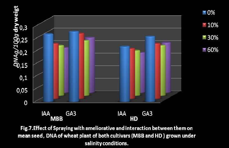 The results showed that the weight of 100 grain was increased for MBB cultivar at concentrations of 10% and 30%, while negatively effect was observed at concentration of 60%.