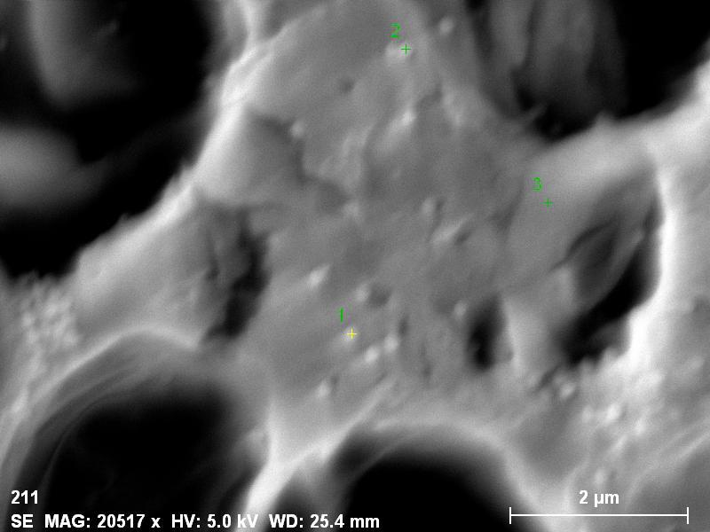 Figure S5. Atomic compositions measured by EDX coupled with SEM. Encapsulated silica particle (1 and 2).