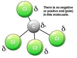 polar covalent bonds OR because of the