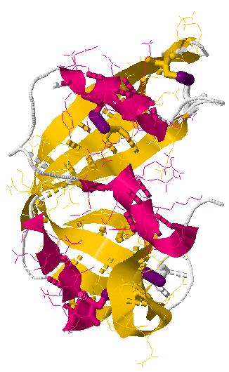 proteins. a) Iodoacetate b) β-mercaptoethanol (catalytic and concentrated) c) urea d) guanidine e) How else can protein structure be manipulated?
