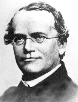 Gregor Mendel During the 1860s, performed a series of controlled experiments with true-breeding strains of garden peas strains that when