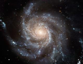 arcmin M 101: Sc-galaxy V hel =